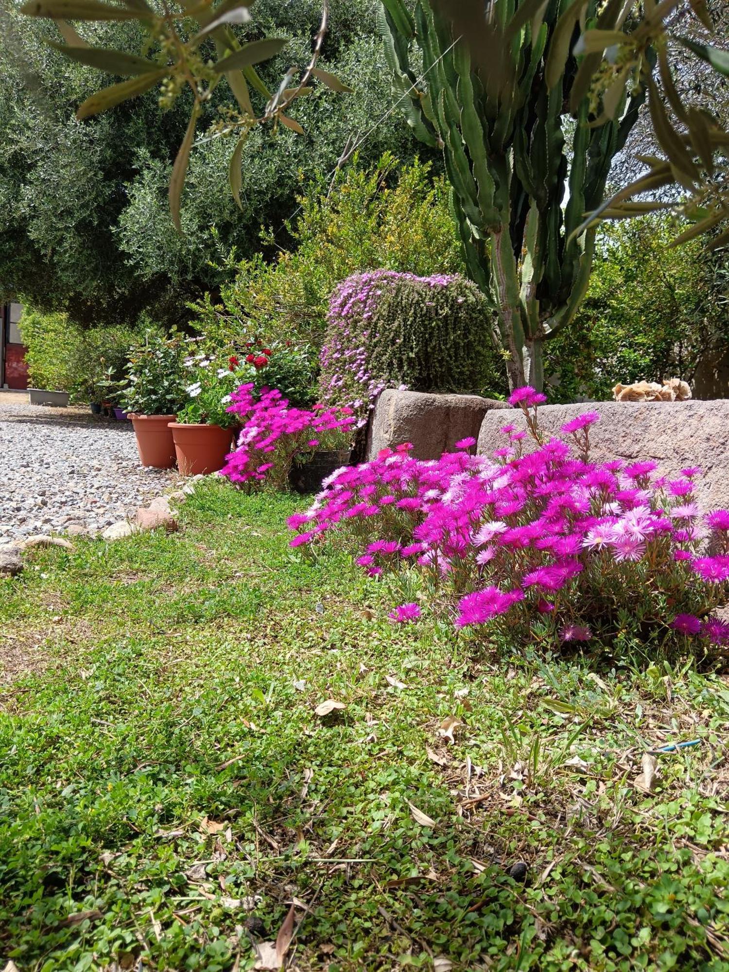 Sulcis Camere San Giovanni Suèrgiu Buitenkant foto